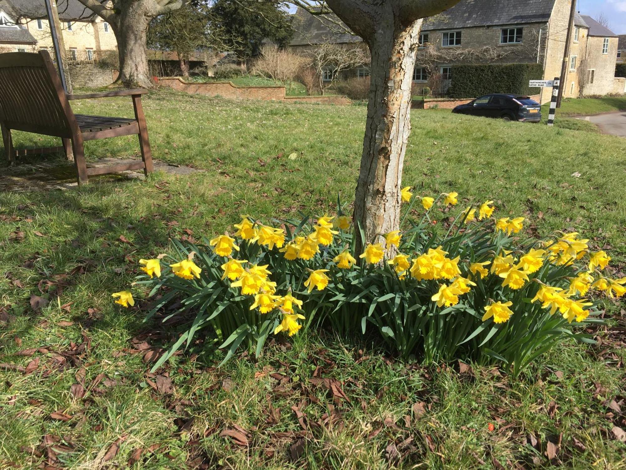 Brook Farm Cottage 브래클리 외부 사진
